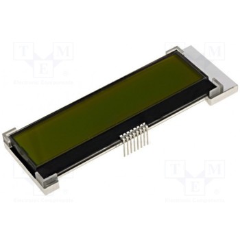 Дисплей LCD RAYSTAR OPTRONICS RX1602A3-YHW-TS