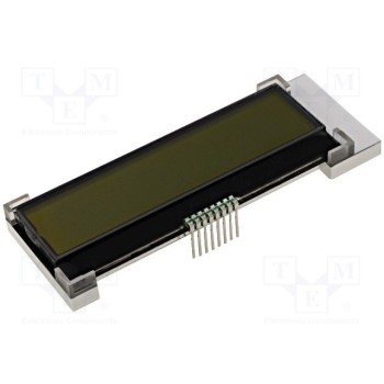 Дисплей LCD RAYSTAR OPTRONICS RX1602A4-FHW-TS