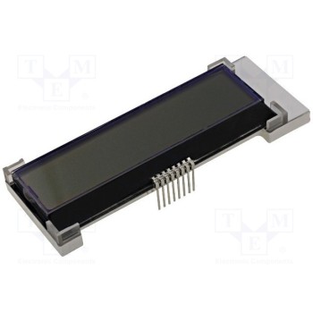 Дисплей LCD RAYSTAR OPTRONICS RX1602A4-GHW-TS