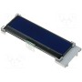 Дисплей LCD RAYSTAR OPTRONICS RX2002A-BIW-TS (RX2002A-BIW-TS)