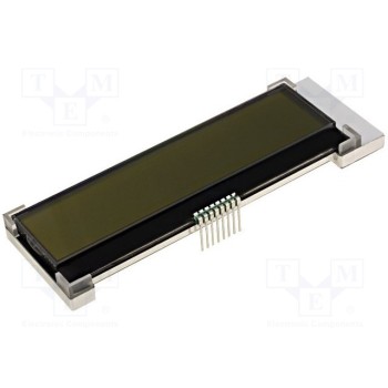 Дисплей LCD RAYSTAR OPTRONICS RX2002A-FHW-TS
