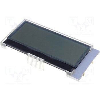 Дисплей LCD RAYSTAR OPTRONICS RX2004A-FHW
