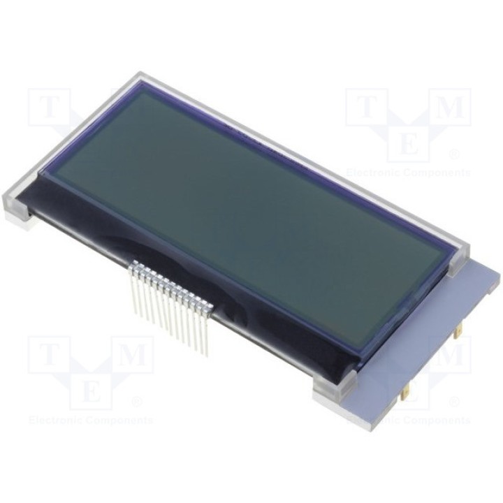 Дисплей LCD RAYSTAR OPTRONICS RX2004A-GHW (RX2004A-GHW)