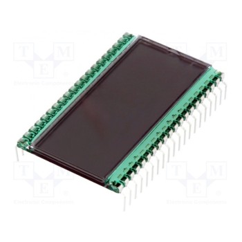 Дисплей LCD DISPLAY ELEKTRONIK DE119-RS-20-6.35