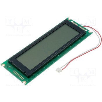 Дисплей LCD RAYSTAR OPTRONICS RG24064A-FHW-V
