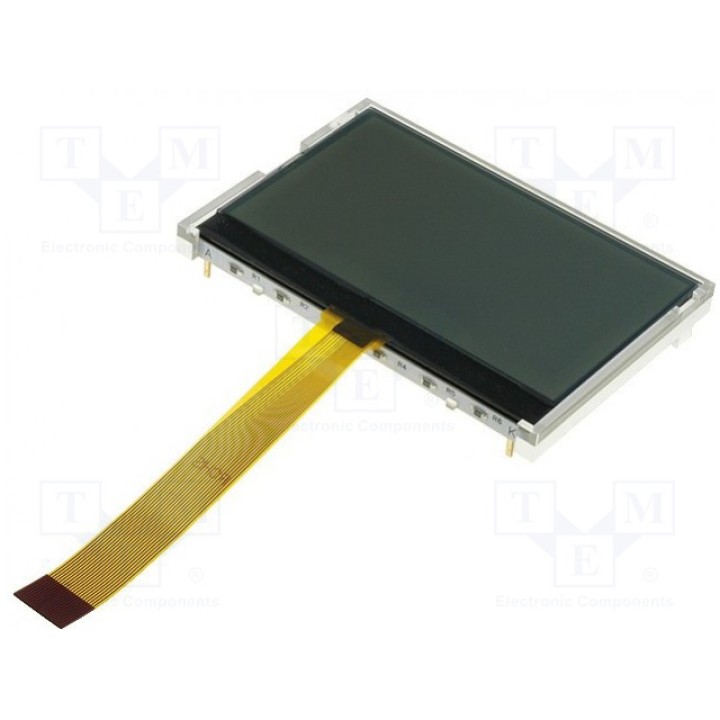 Дисплей LCD RAYSTAR OPTRONICS RX12864H-FHW (RX12864H-FHW)