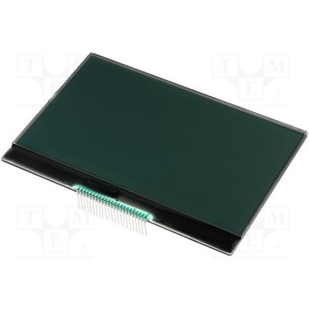 Дисплей LCD RAYSTAR OPTRONICS RX240128A-FGN