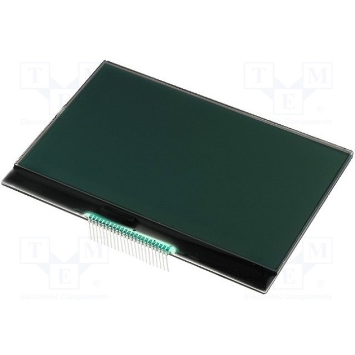 Дисплей LCD RAYSTAR OPTRONICS RX240128A-FGN (RX240128A-FGN)