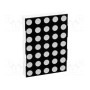 Дисплей LED матрица 5x7 WENRUN LMD20057BAG-101-01 (LMD20057BAG-101)