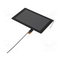 Дисплей TFT 101" RAYSTAR OPTRONICS RFK1010F-AAH-LNG