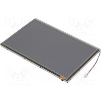 Дисплей TFT 101" RAYSTAR OPTRONICS RFK1010F-AAH-LNS
