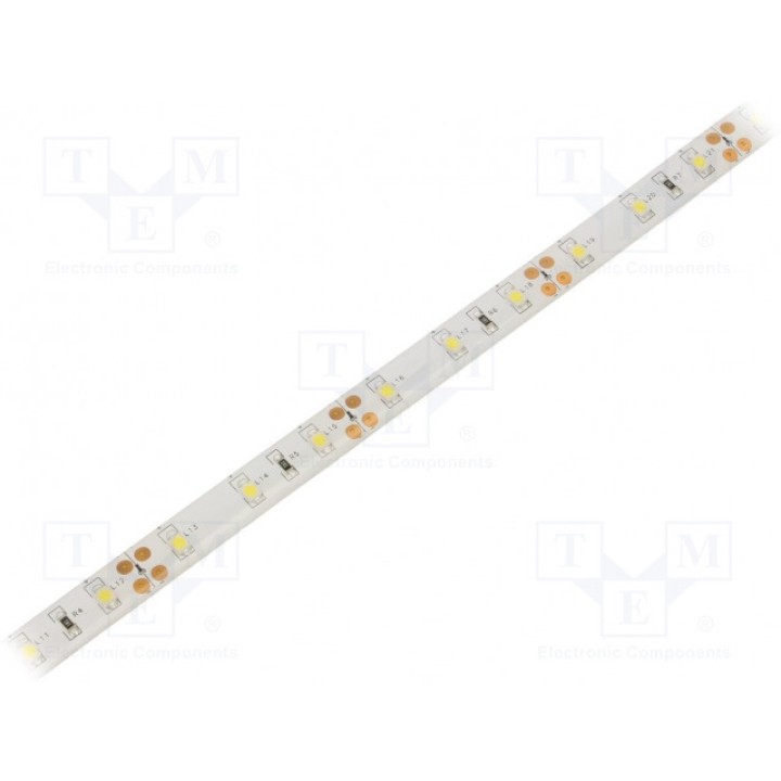 Лента LED белый холодный LED/м 60 SMD TRON 00202036 (00202036)
