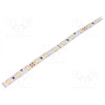 Лента LED белый холодный LED/м 60 SMD Ledxon 9009251