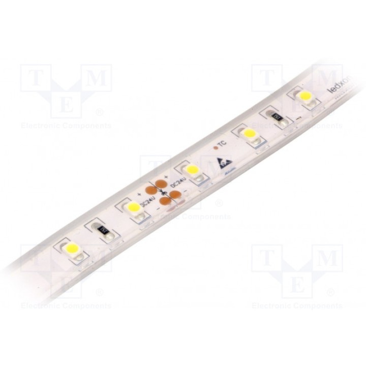 Лента LED белый холодный LED/м 60 SMD Ledxon 9009309 (9009309)