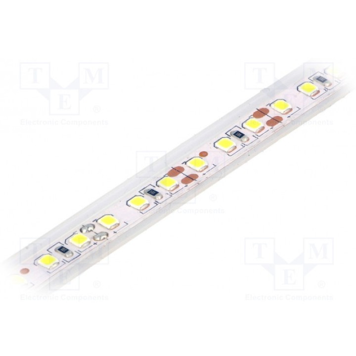 Лента LED белый холодный LED/м 120 SMD LUCKY LIGHT LS-2835W120RN1 (LS-2835W120RN1)