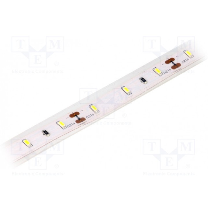 Лента LED белый холодный LED/м 60 SMD LUCKY LIGHT LS-3014W60RN2 (LS-3014W60RN2)