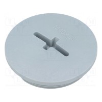 Заглушка LAPP KABEL BLK-GL-M40-R7001