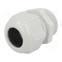 Кабельный ввод LAPP KABEL ST-M25-R7035