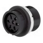 Гнездо din AMPHENOL T 3437 000 (C091-3437-000)