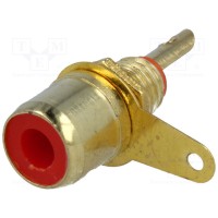 Гнездо rca   
