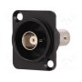 Соединитель гнездо bnc, с обеих сторон CLIFF CP30125 (CP30125)