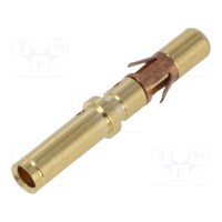Контакт размер 16 AMPHENOL MS16M23F
