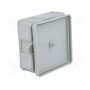 Корпус соединительная коробка ELEKTRO-PLAST NASIELSK 0226-41 (EPN-0226-41)