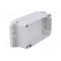 Корпус универсальный HAMMOND 1555C2F22GY (HM-1555C2F22GY)