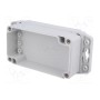 Корпус универсальный HAMMOND 1555C2F22GY (HM-1555C2F22GY)