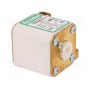 Предохранитель плавкая вставка LITTELFUSE PSR030FL0250 (PSR030FL0250)