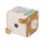 Предохранитель плавкая вставка LITTELFUSE PSR030FL0550 (PSR030FL0550)