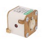 Предохранитель плавкая вставка LITTELFUSE PSR031FL0700 (PSR031FL0700)