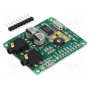 Дочерняя плата MIKROELEKTRONIKA AUDIO CODEC BOARD - PROTO (MIKROE-506)