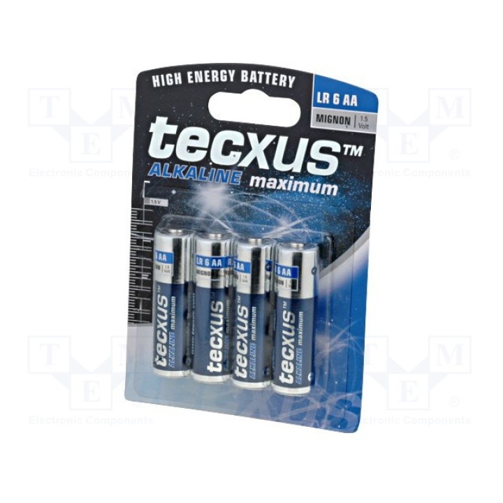Батарея щелочная TECXUS 11009 (BAT-LR6-TX-BL)