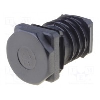 Заглушка ELESA+GANTER NDA.Q-30-M22X30