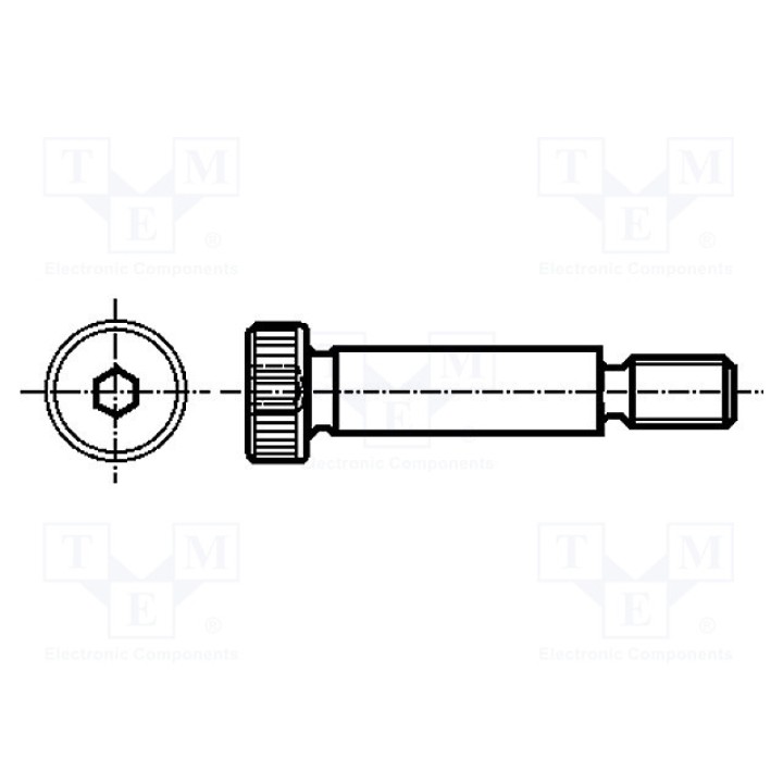 Установочный винт ELESA+GANTER ISO 7379-5-M4-25-NI (ISO7379-5-M4-25NI)