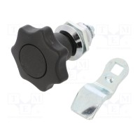 Замок ELESA+GANTER GN115-SG-6