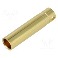 Гнездо AMASS GC4010-F
