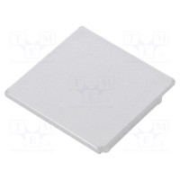 Заглушка для профилей LED TOPMET TOP-V4960040