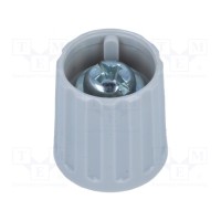 Ручка полиамид RITEL G15G-G