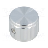 Ручка с указателем SR PASSIVES GS6.4-20X15