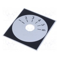 Шкала SUPERTRONIC 220.306