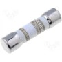 Предохранитель плавкая вставка gPV LITTELFUSE KLKD006.T (KLKD006.T)