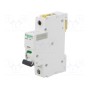 Выключатель максимального тока SCHNEIDER ELECTRIC A9F04106 (A9F04106)