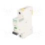Выключатель максимального тока SCHNEIDER ELECTRIC A9F07110 (A9F07110)