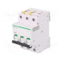 Выключатель максимального тока SCHNEIDER ELECTRIC A9F07363 (A9F07363)