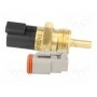 Датчик температуры pt1000 WIKA 30969832 (TF35-B-6-30)