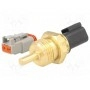 Датчик температуры pt1000 WIKA 30969832 (TF35-B-6-30)