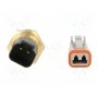 Датчик температуры pt1000 WIKA 30969832 (TF35-B-6-30)