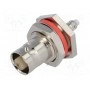 Гнездо bnc AMPHENOL B6421E1-ND3G-5-50 (B6421E1ND3G550)
